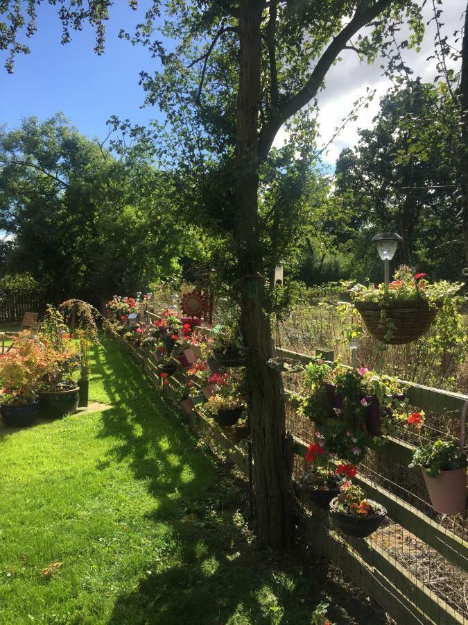 Homestay Highbury House, Warm And Welcoming.